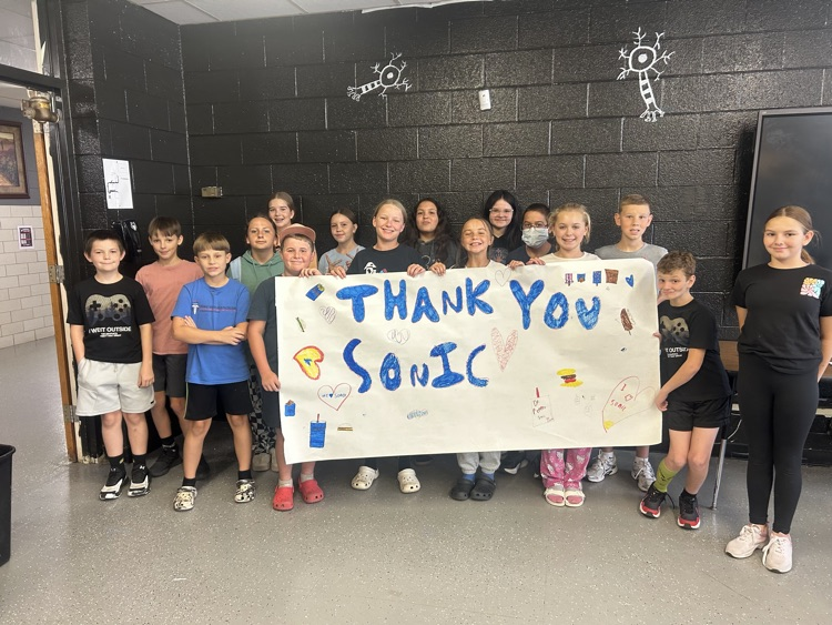 Sonic Donation