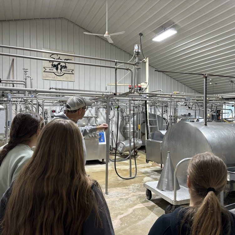 Milk processing room