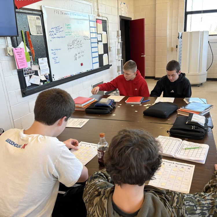 4 boys studying at a table