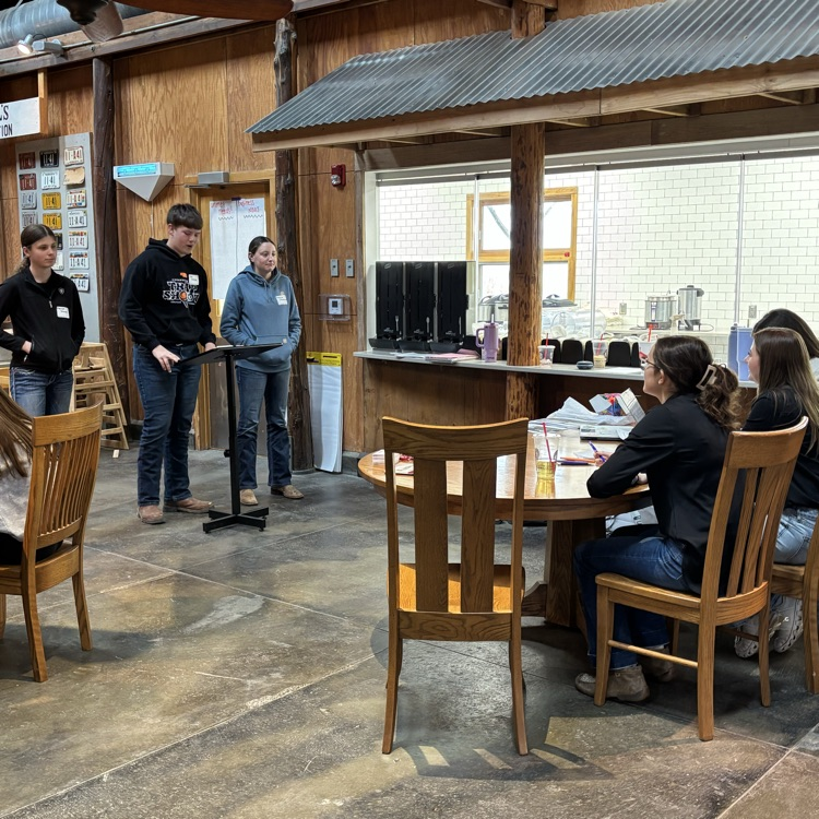 A group pitching entrepreneurship ideas