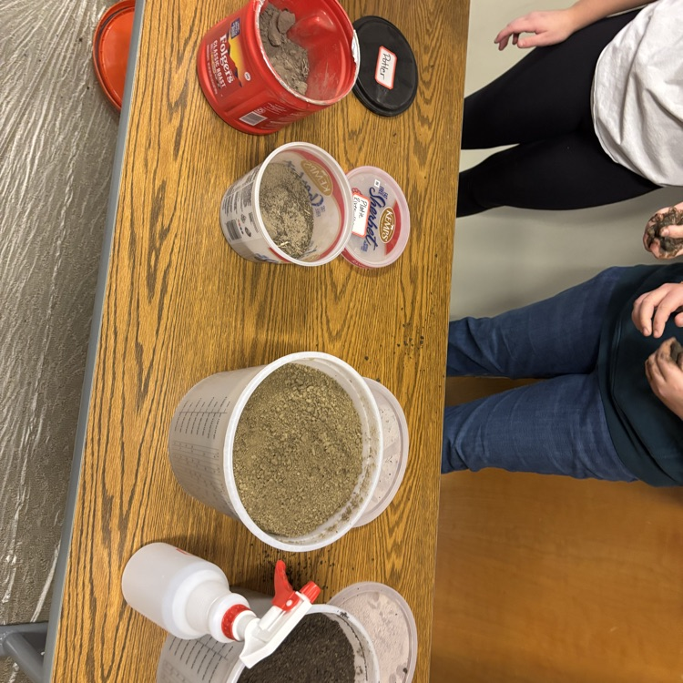 containers with soil 