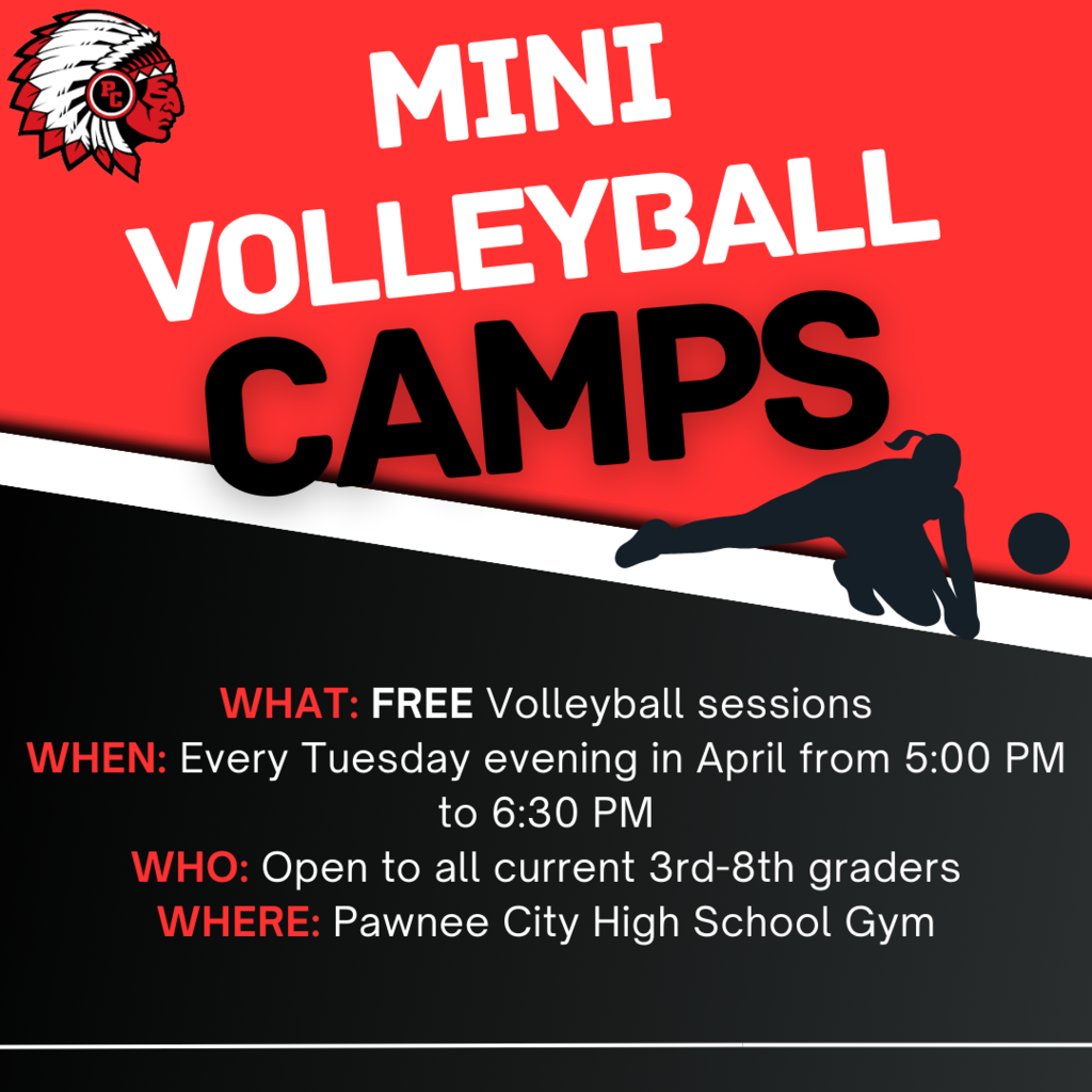 Mini volleyball camp