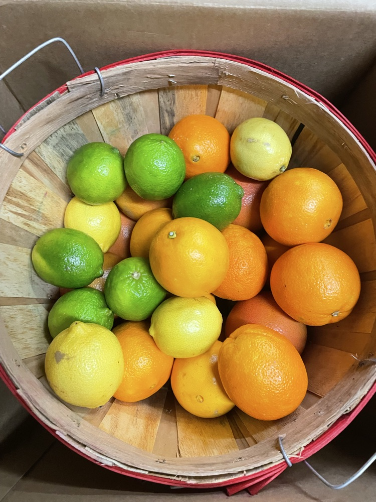 citrus