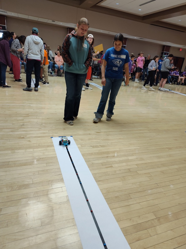 Team 2 (Kenya and Emaily) Sorting Colors