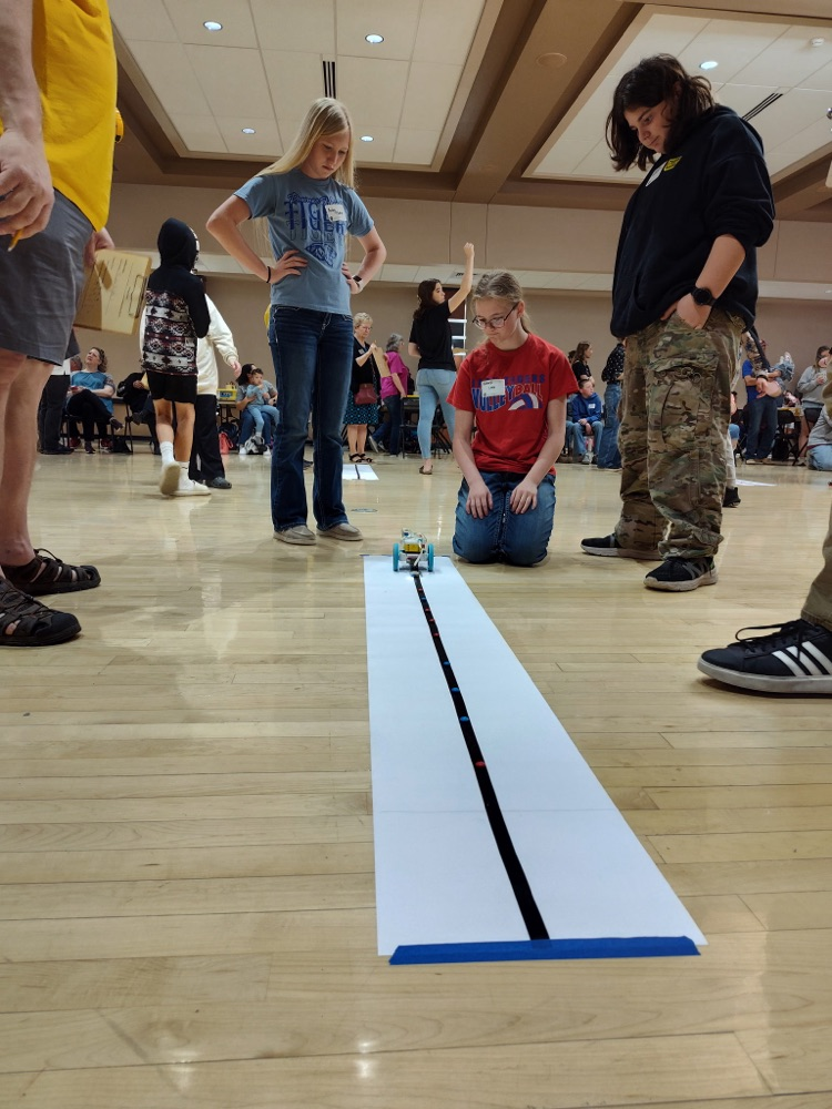 Team 3 (Serenity, Bailey, and William) Sorting Colors