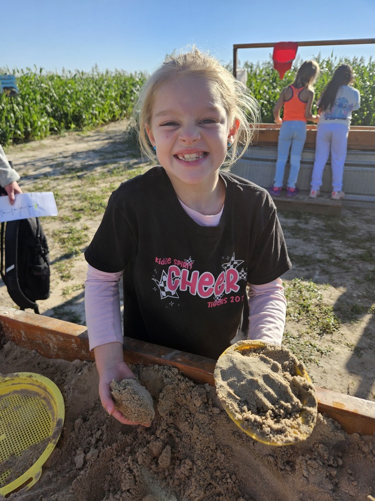 Pumpkin Patch