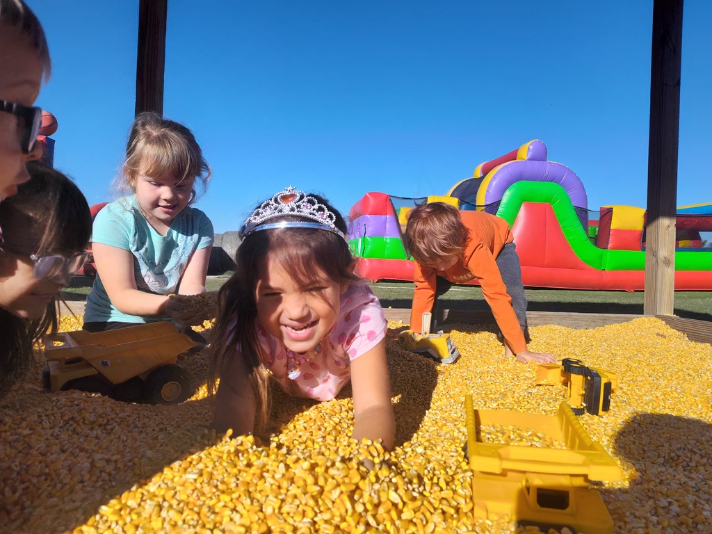 Pumpkin Patch