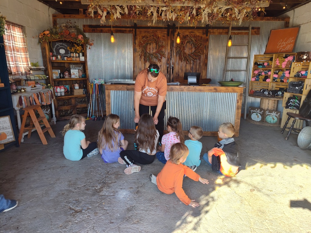 Pumpkin Patch