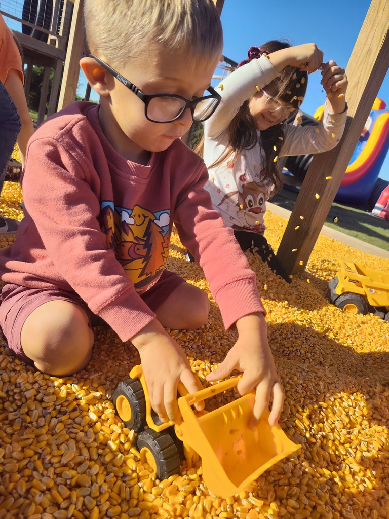 Pumpkin Patch