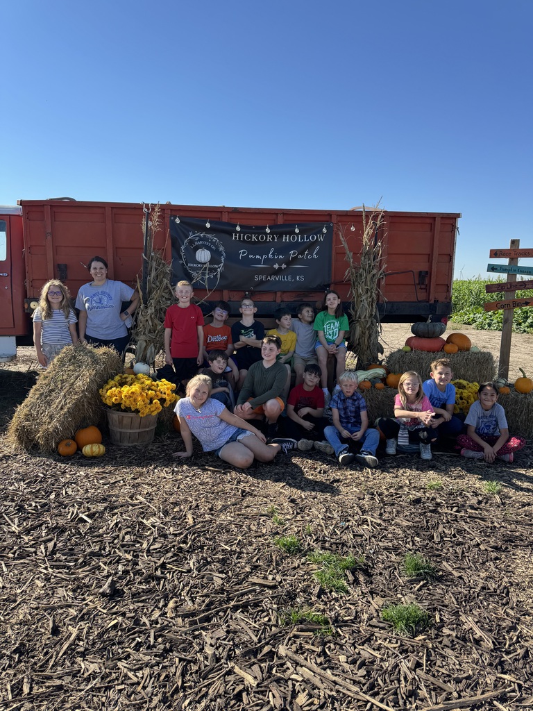 Pumpkin Patch