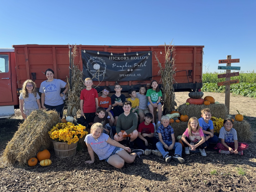 Pumpkin Patch