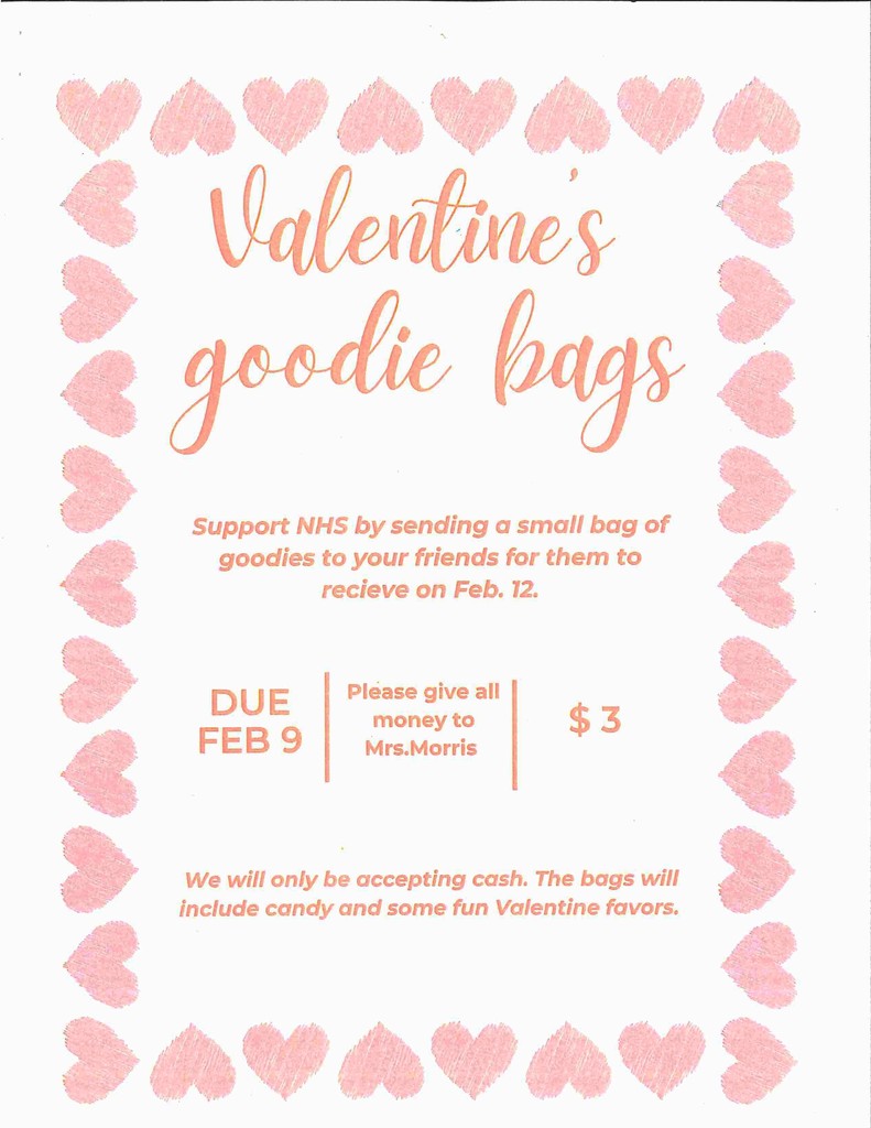 Valentines Goodie Bags