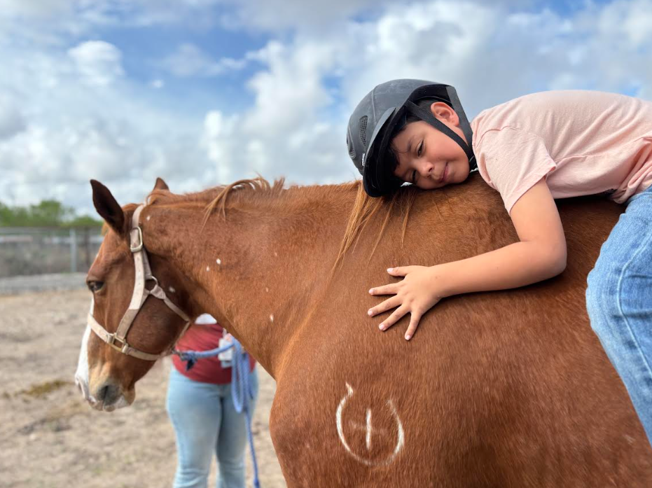 equine partner Porter