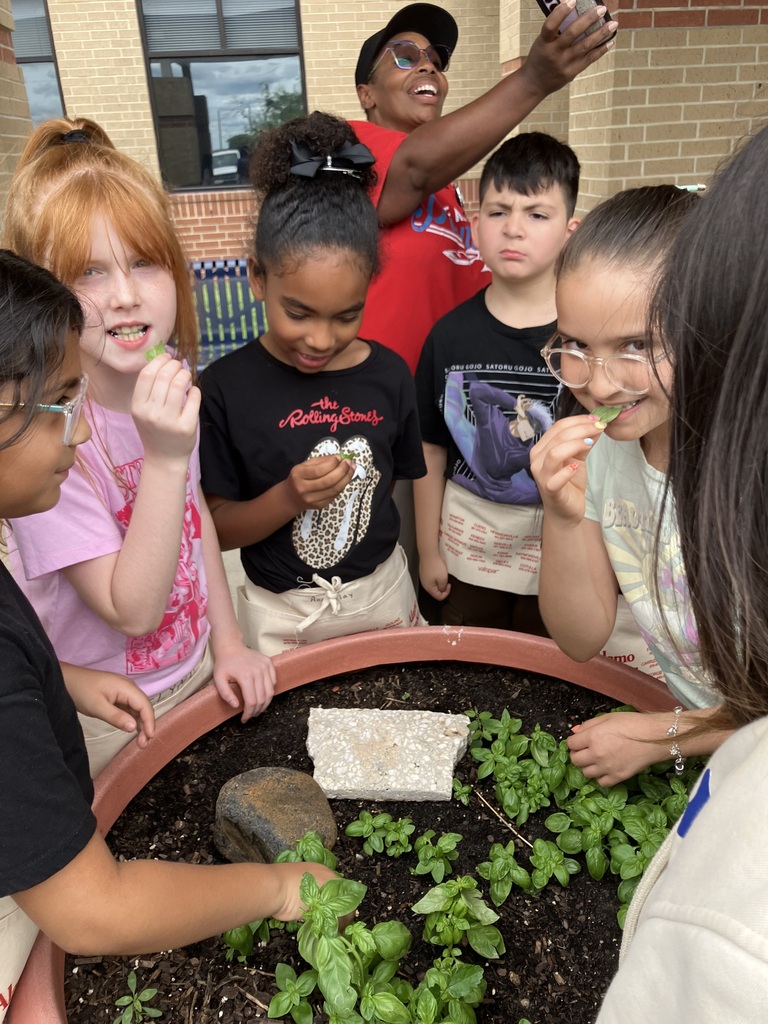 Second graders enjoying a taste test of fresh basil, squash, and spaghetti squash that they planted and harvested. Thank you Ms. Latin for teaching us how to grow nutritious food and a special thank you for the work aprons.