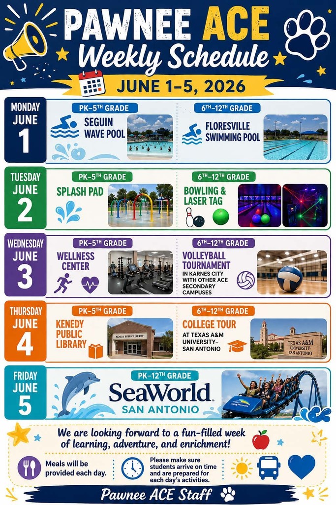 Ace Schedule