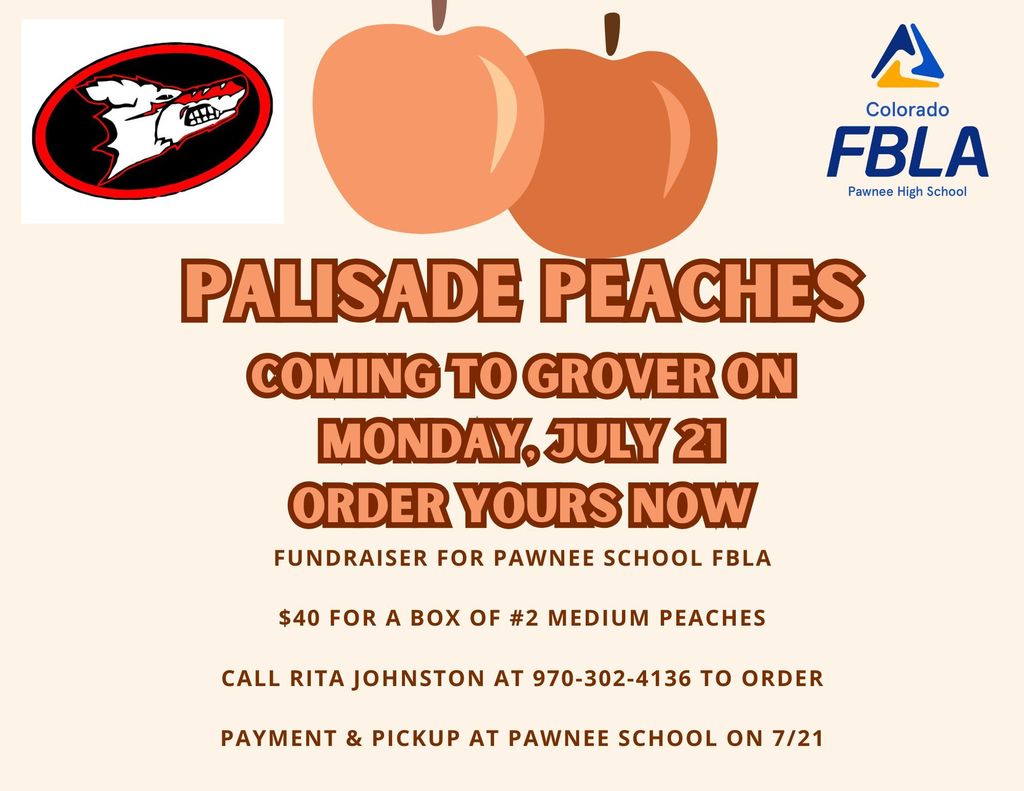 Palisade Peaches for Sale