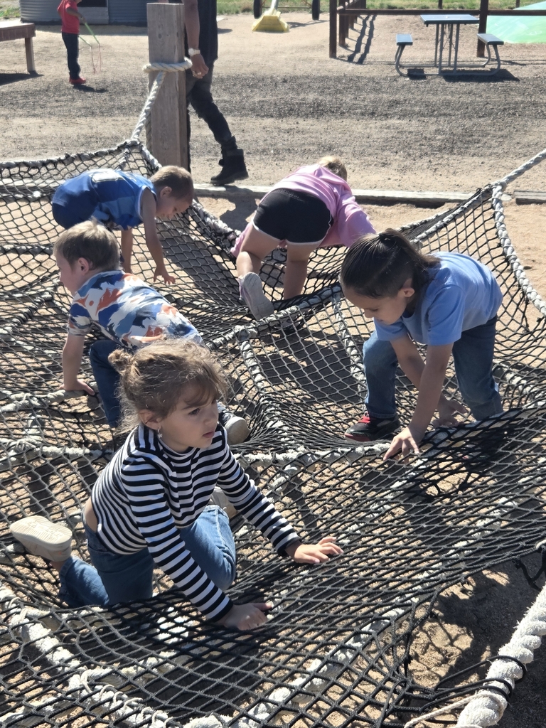 Students climbing on the web.