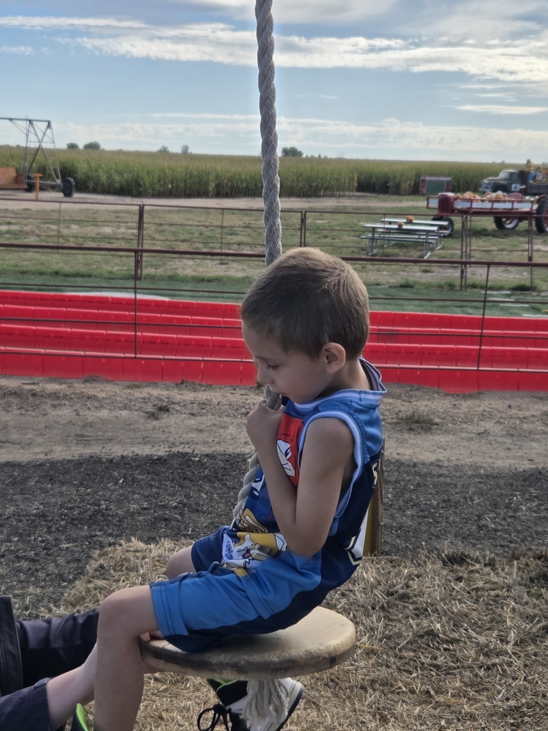 Vincent on the zipline.
