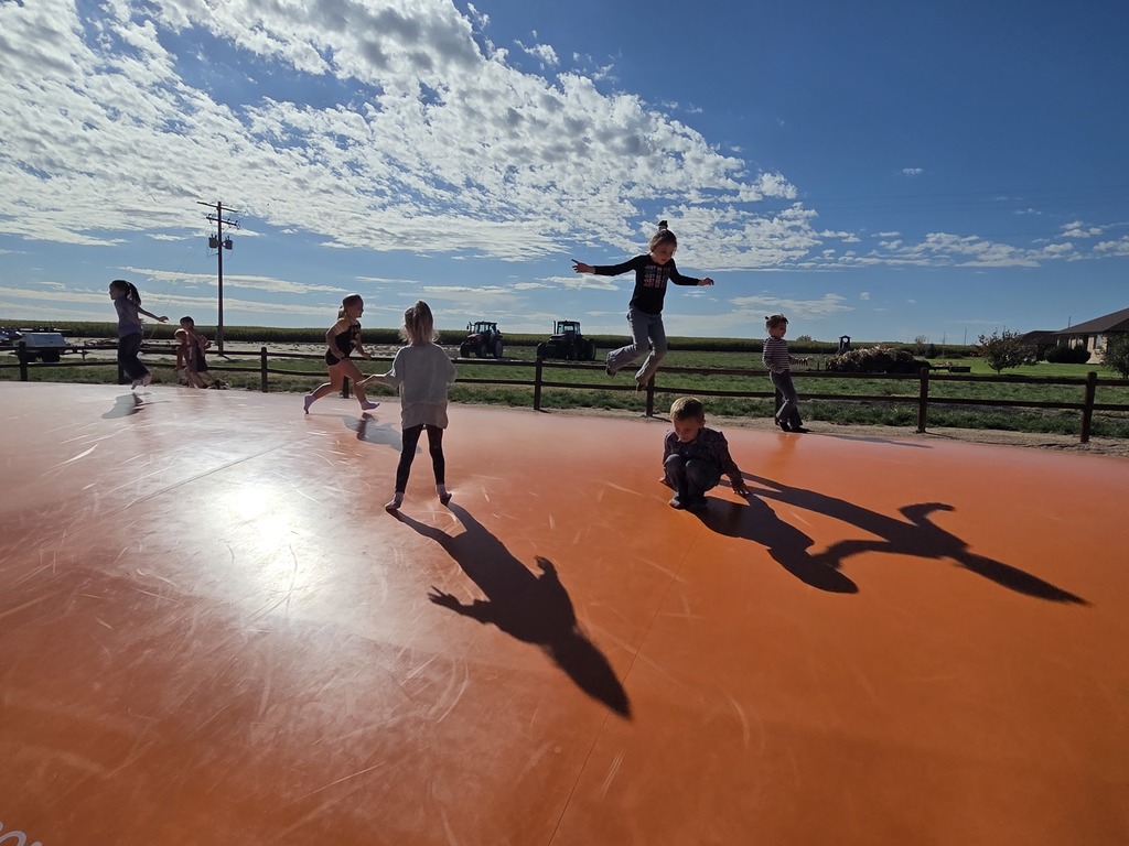 Students jumping on the pillow.