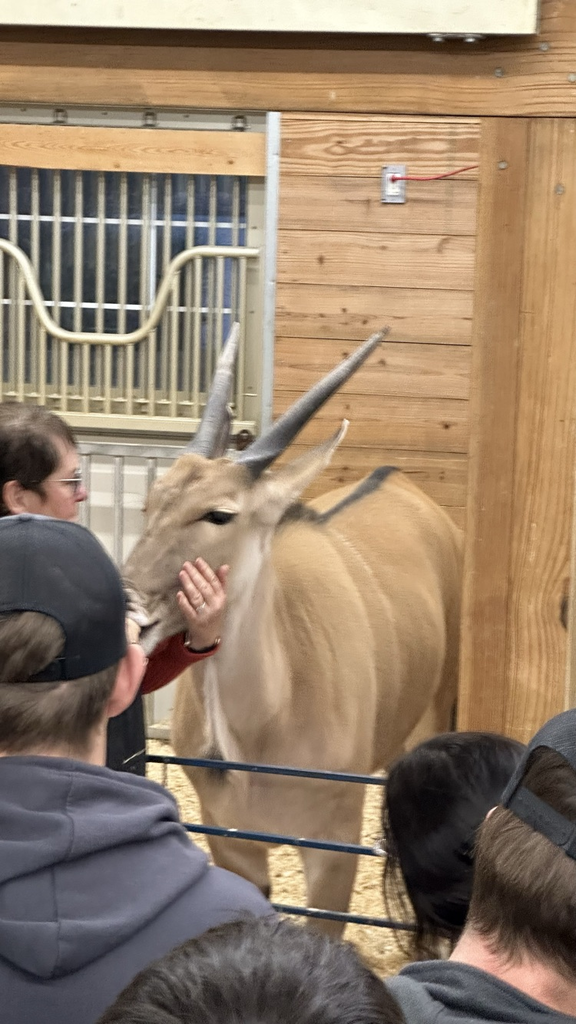 eland
