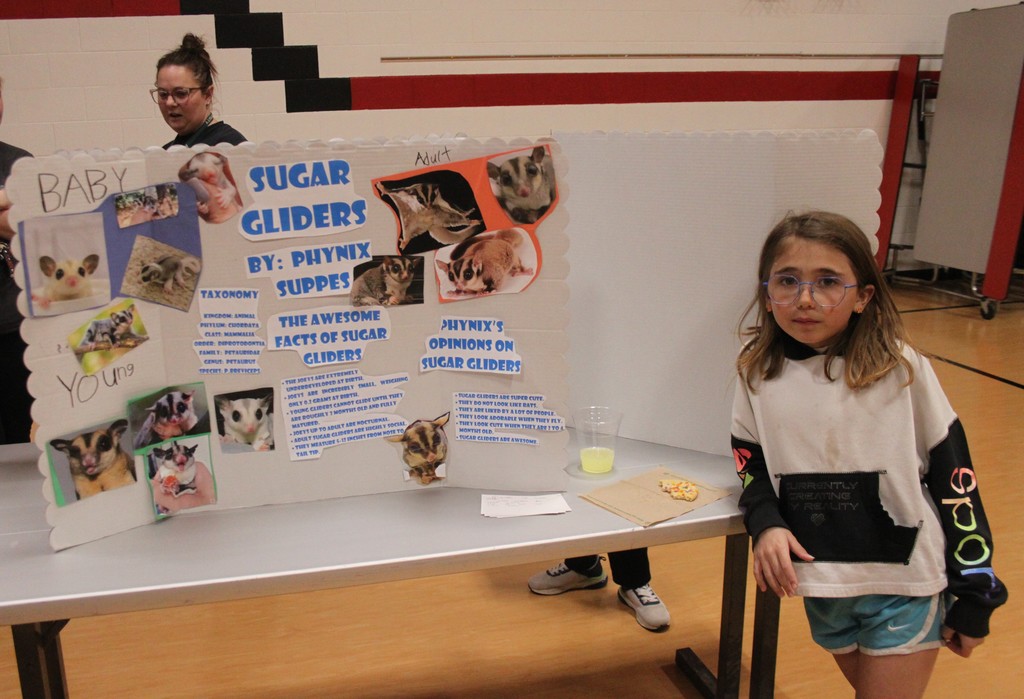 Phynix showing her sugar glider project. 