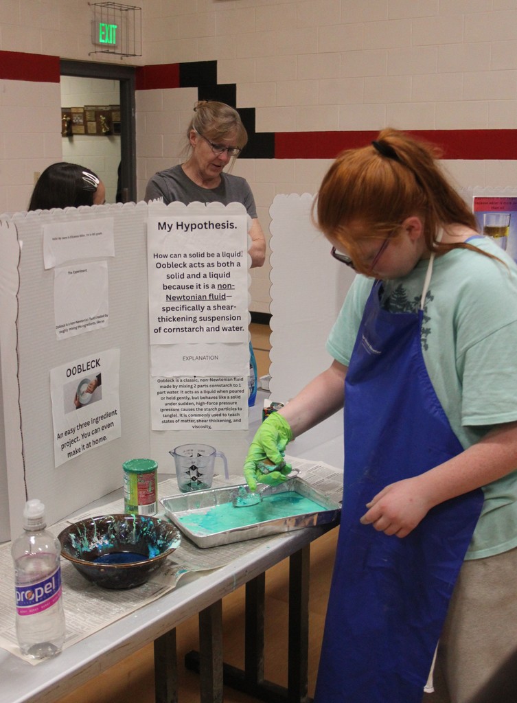 Ellyanna explaining her project. 