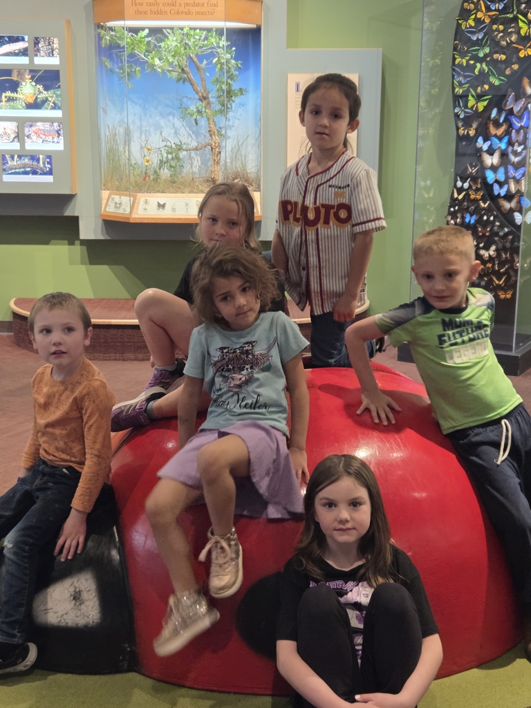 Sitting on ladybug