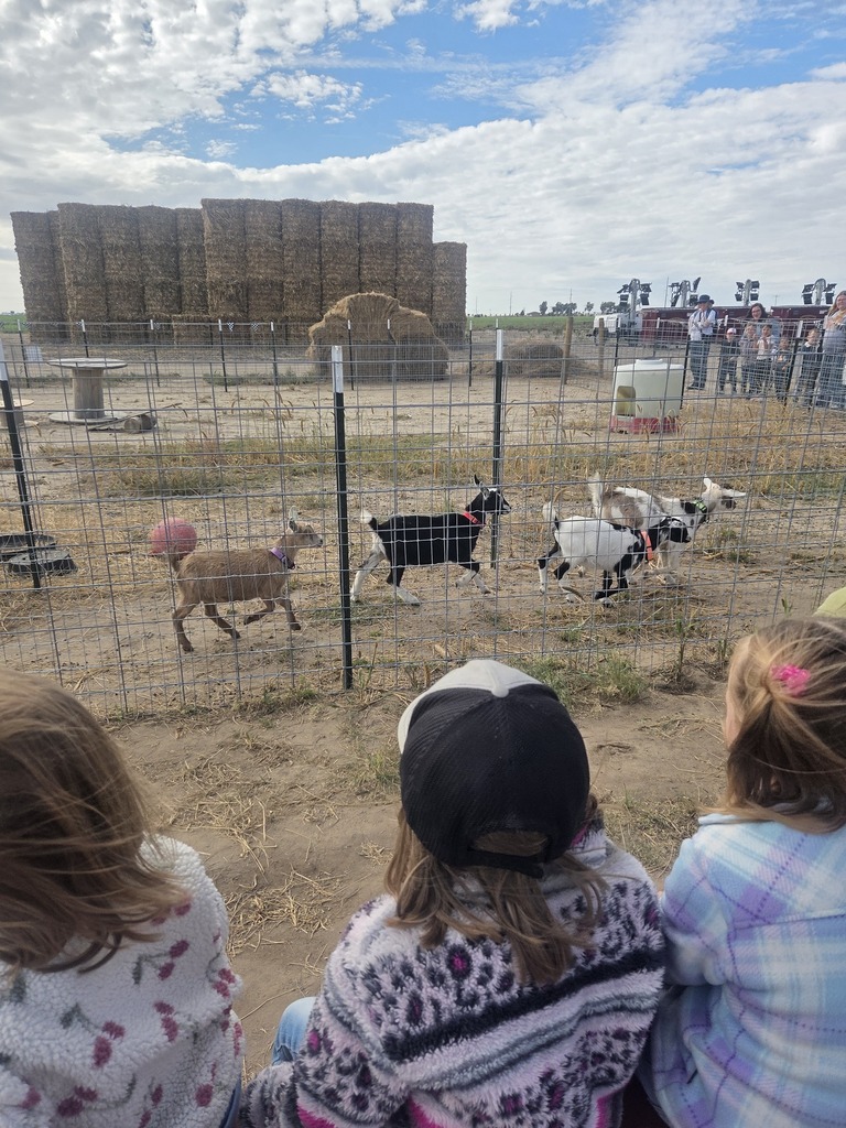 The girls watching the goat races.