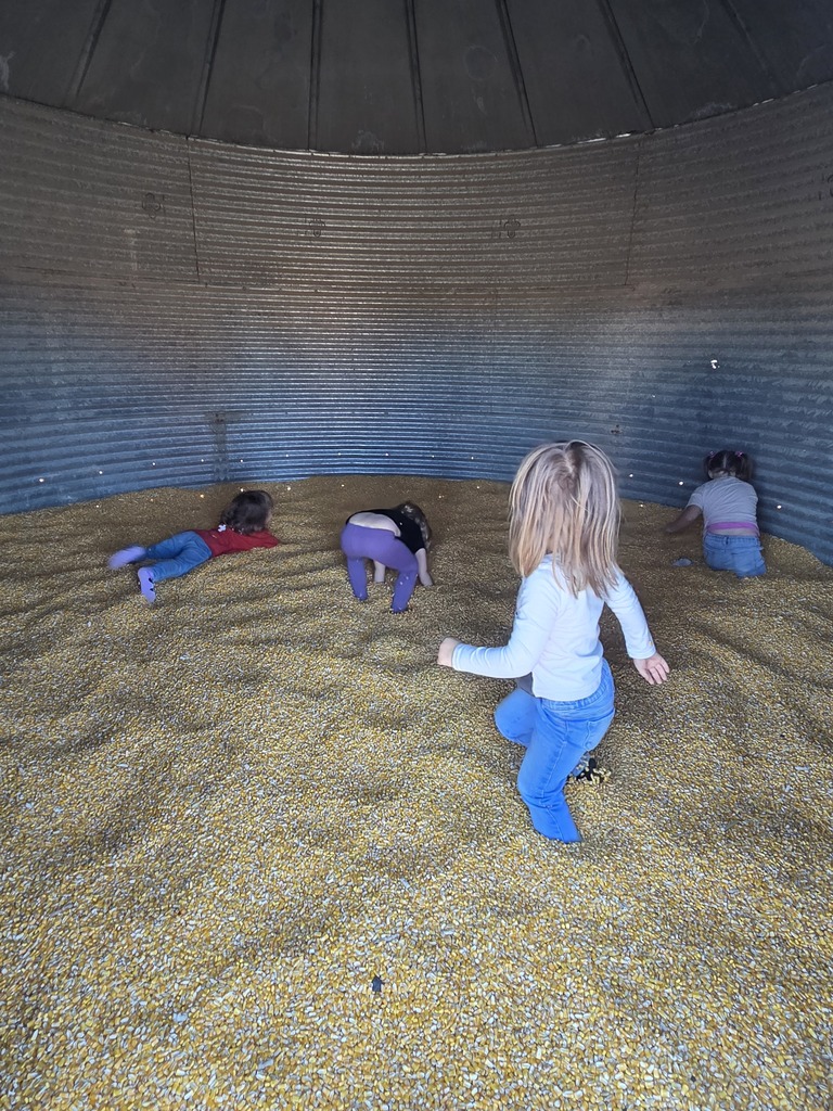 The girls jumped in the corn bin.