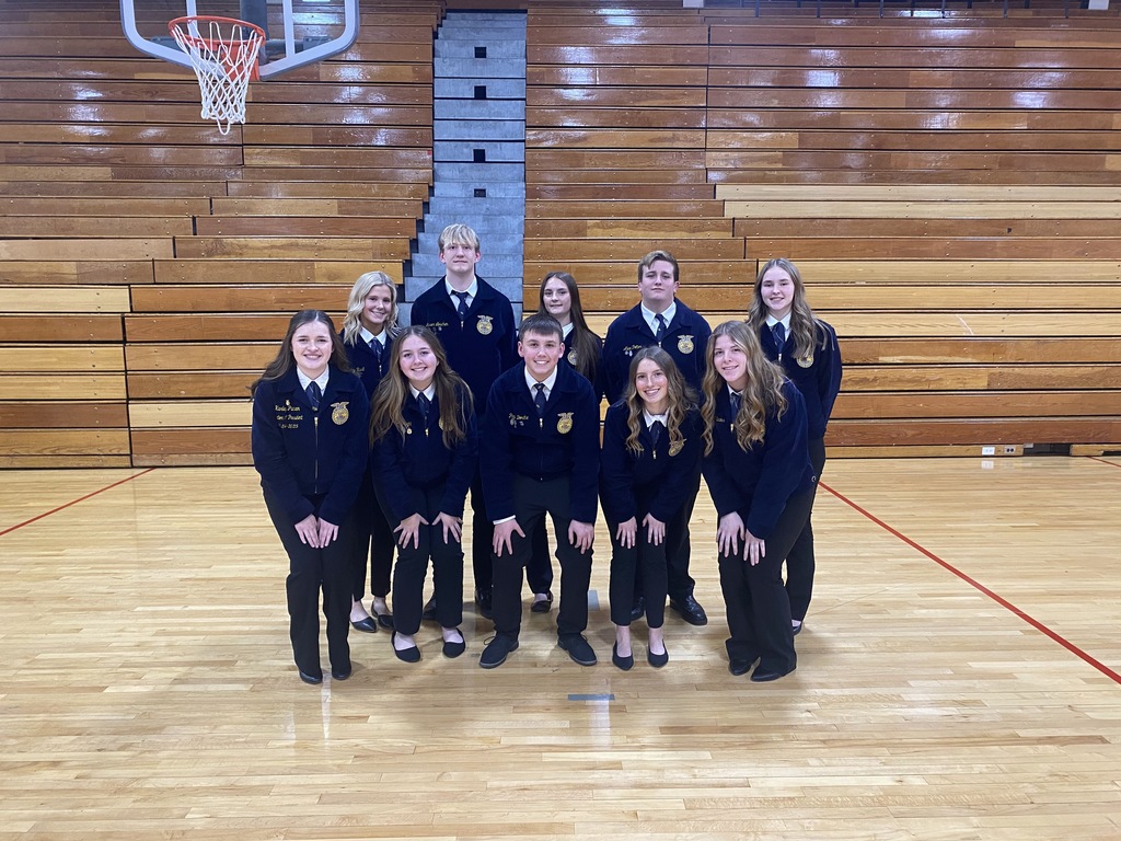 District Proficiency Team