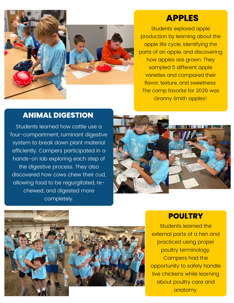 Ag Day Camp