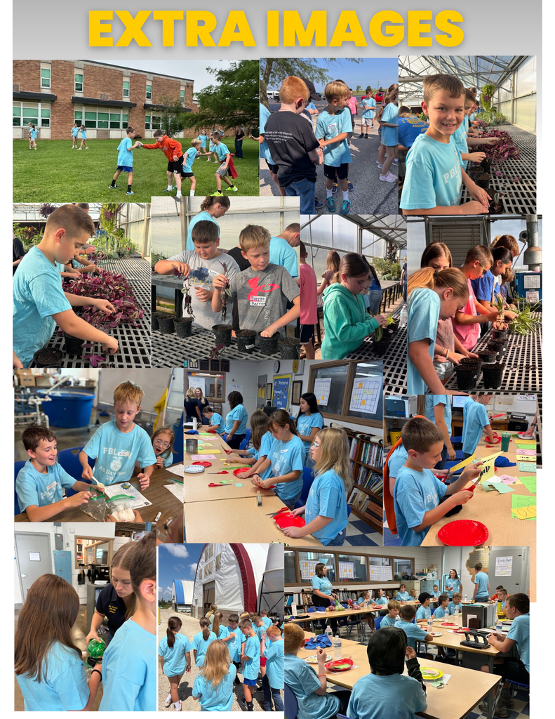 Ag Day Camp