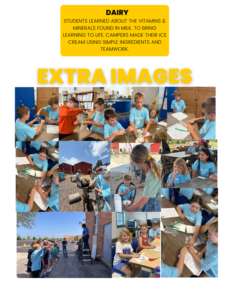 Ag Day Camp