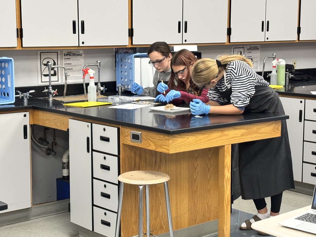 Three students around a lab table leaning over to investigate