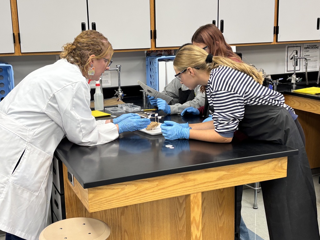 A teacher and three students around a lab table