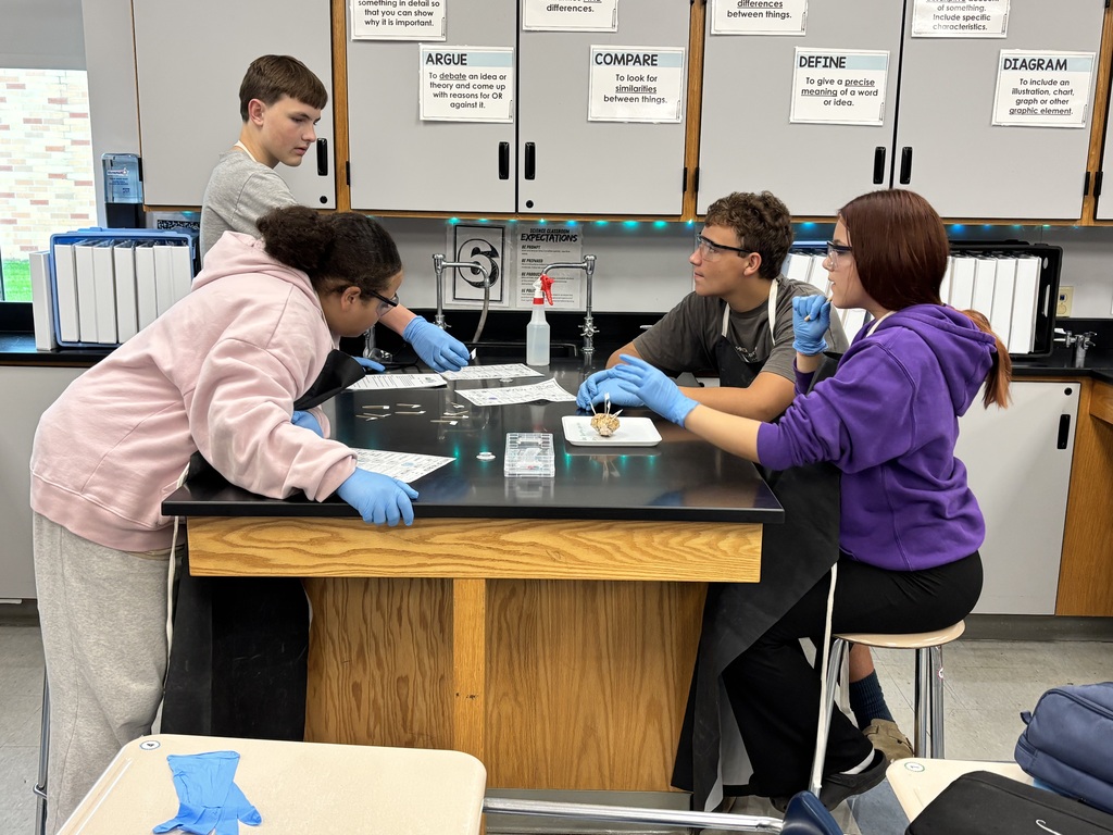four students around a lab table