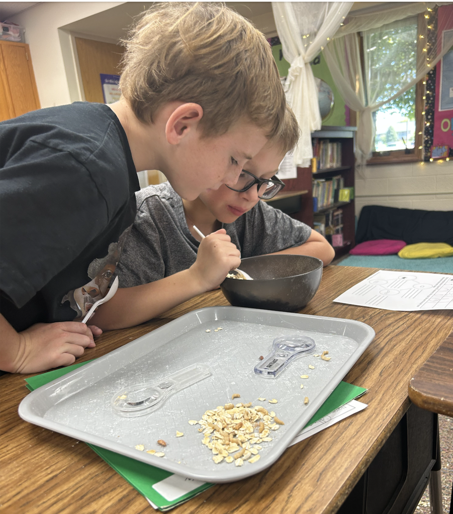 Life Cycle Exploration