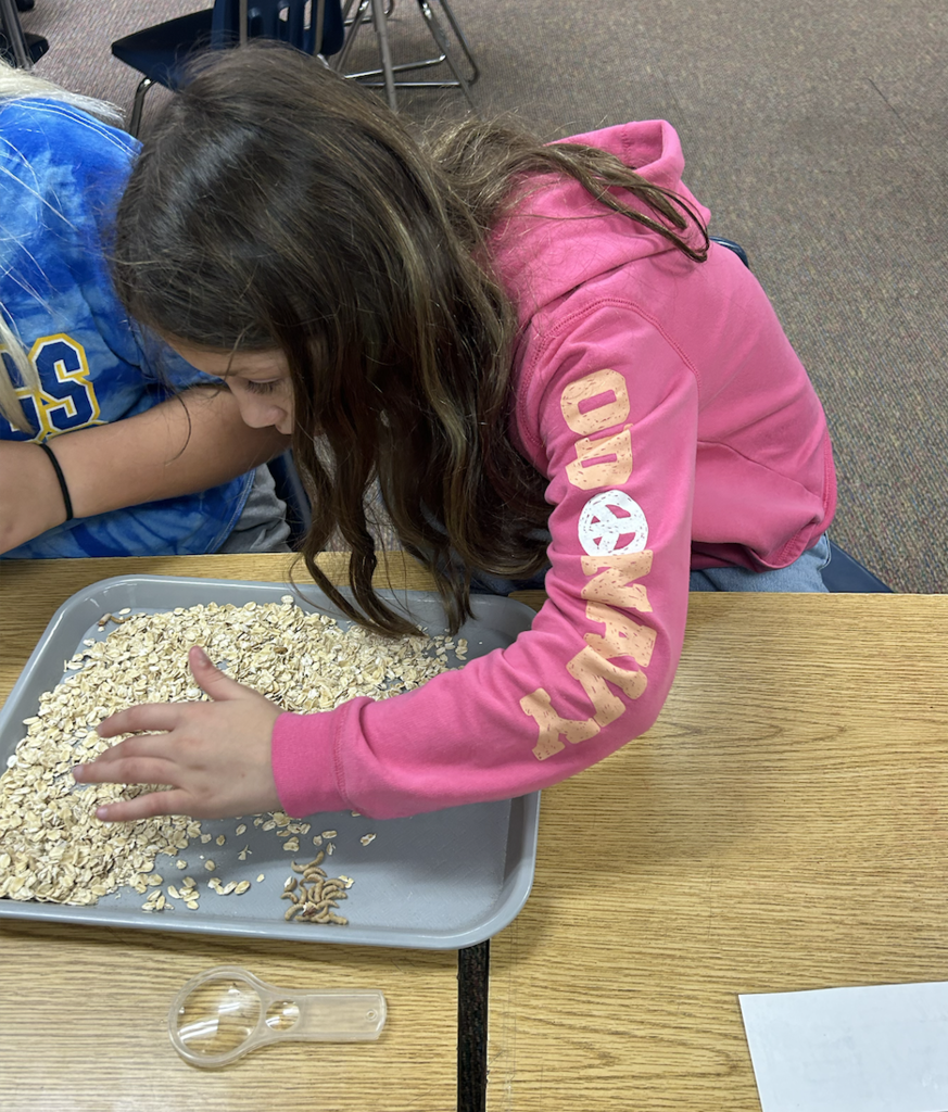 Life Cycle Exploration