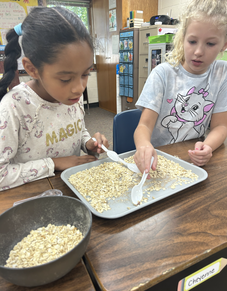 Life Cycle Exploration