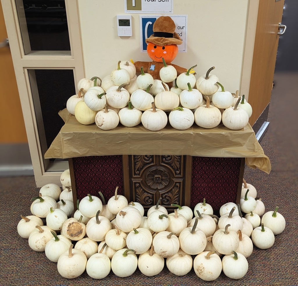 pumpkin bones