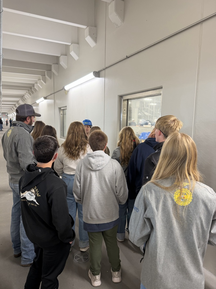 Inside the beef plant tour.