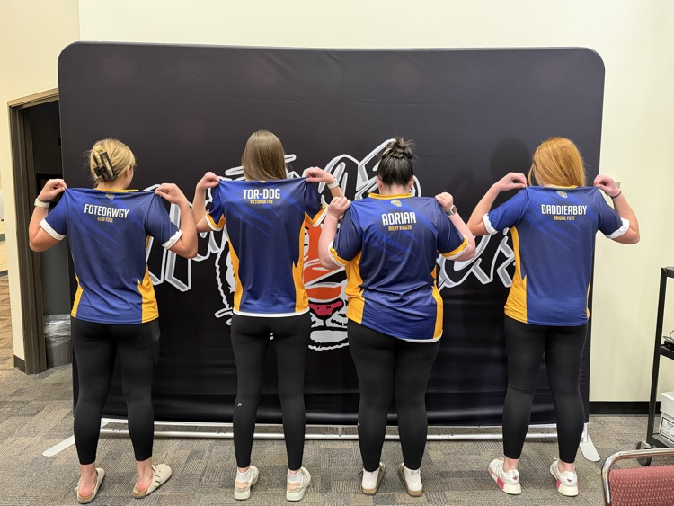 Mario Kart team names on jerseys.