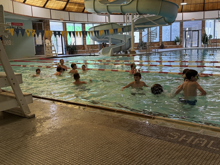 students having fun in the pool  