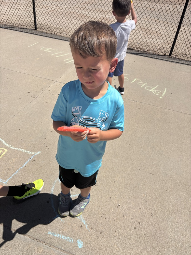 Field Day