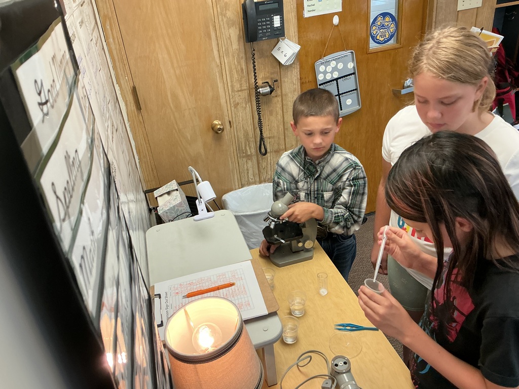 students testing water samples using a microscope