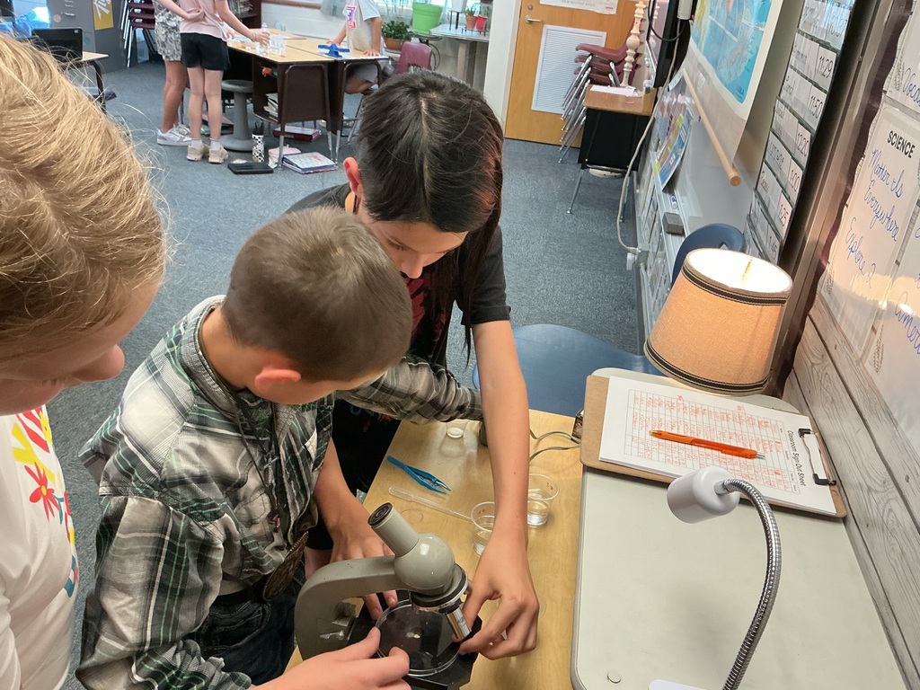 students testing water samples using a microscope