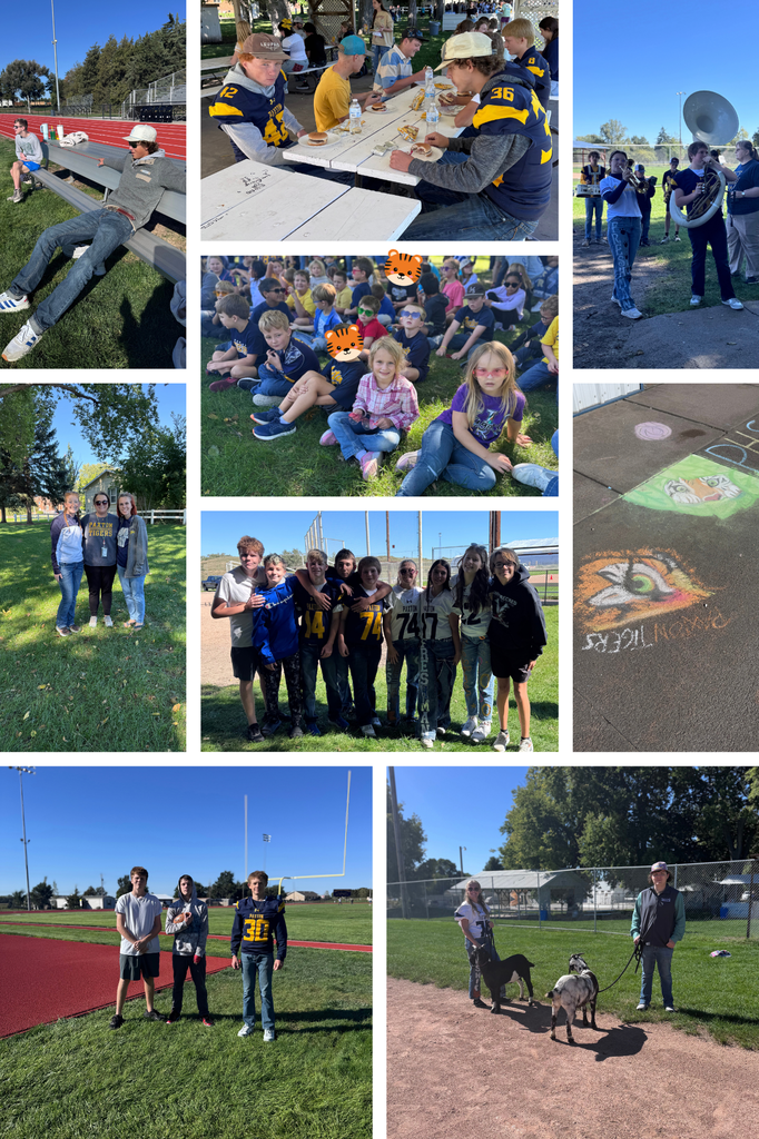 Homecoming Activities Collage 1