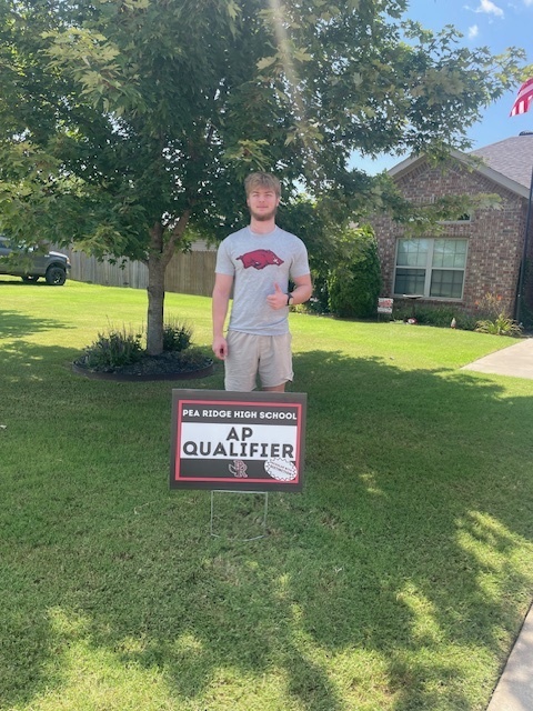 AP Qualifier 