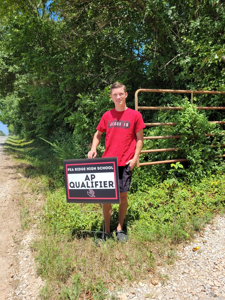 AP Qualifier 