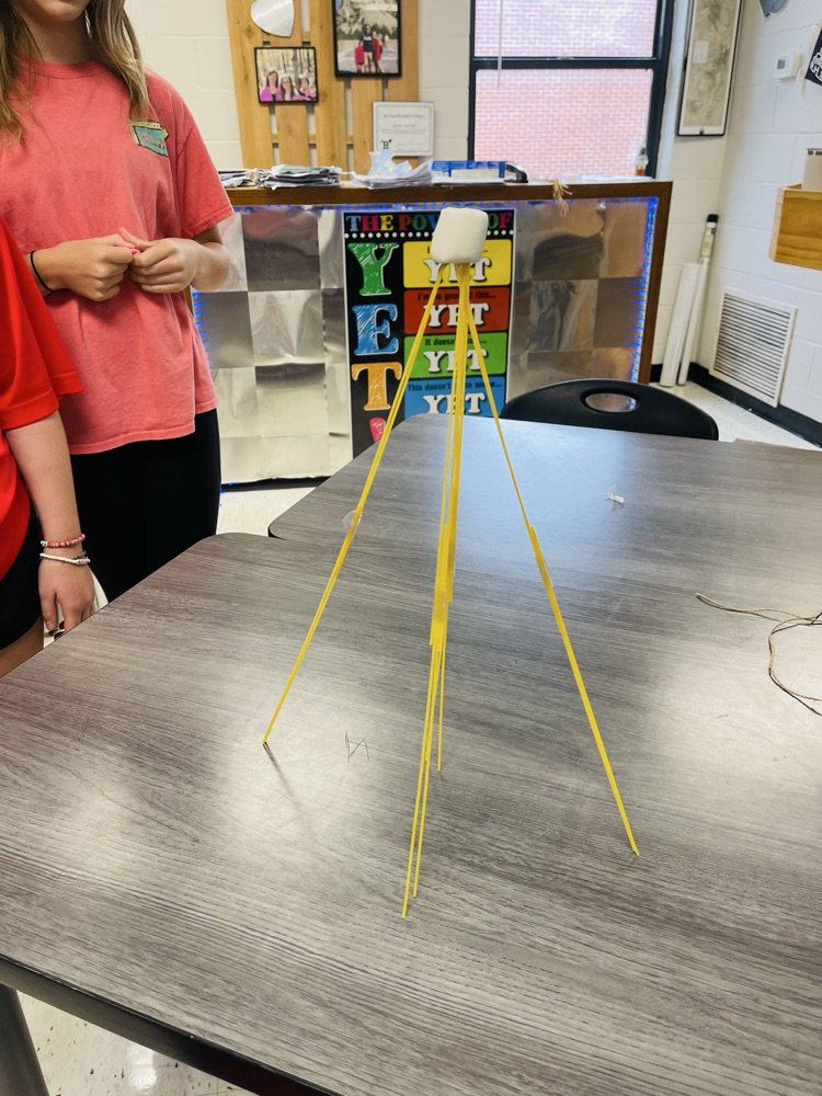 Marshmallow Challenge
